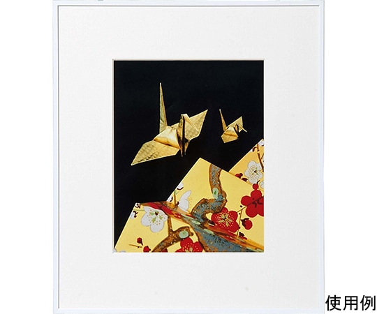 ケンコー・トキナー アルミ額縁 画廊 六切 ガラス入り ホワイト AGR-6-WH 1箱(ご注文単位1箱)【直送品】