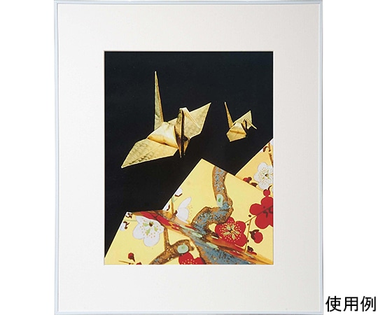 ケンコー・トキナー アルミ額縁 画廊 半切 ガラス入り ホワイト AGR-H-WH 1箱(ご注文単位1箱)【直送品】