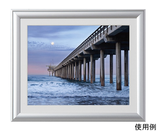 ケンコー・トキナー アルミ額縁 ルックマイルド 六切 シルバー ALM-6-SV 1箱(ご注文単位1箱)【直送品】