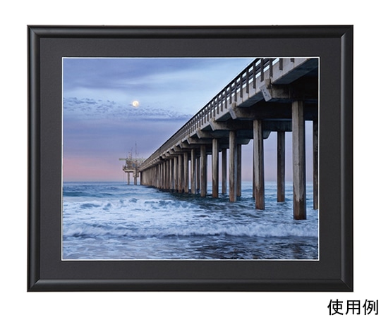 ケンコー・トキナー アルミ額縁 ルックマイルド 半切 ブラック ALM-H-BK 1箱(ご注文単位1箱)【直送品】