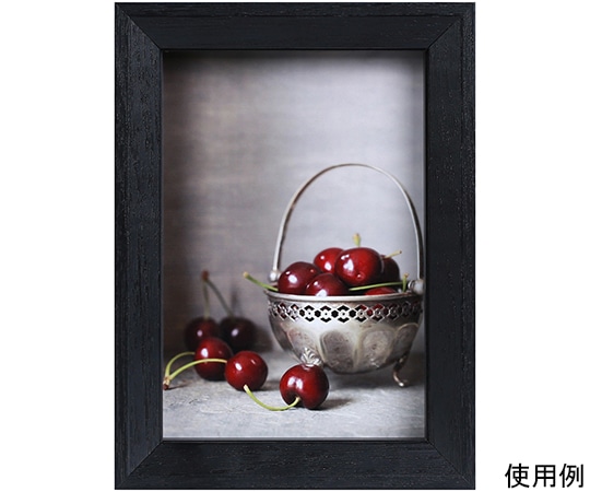 ケンコー・トキナー 木製フレーム ベルジェ L ブラック PS-BE-L-BK 1箱(ご注文単位1箱)【直送品】