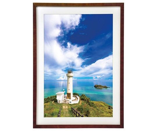 ハクバ写真産業 木製額縁 MM-01 A3ノビサイズ ブラウン FWMM01-BRA3N 1個(ご注文単位1個)【直送品】