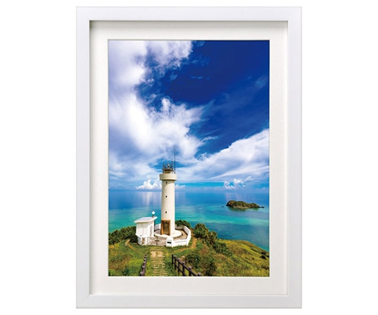 ハクバ写真産業 木製額縁 MM-01 A3サイズ ホワイト FWMM01-WTA3 1個(ご注文単位1個)【直送品】