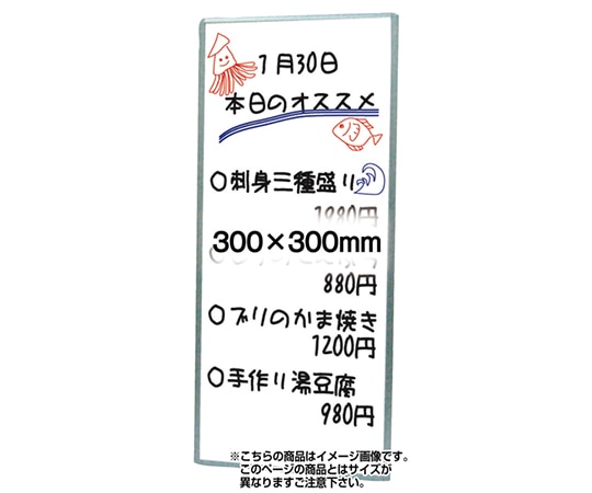 常磐精工 枠付ホワイトボード 300×300mm WBW300X300 1台(ご注文単位1台)【直送品】