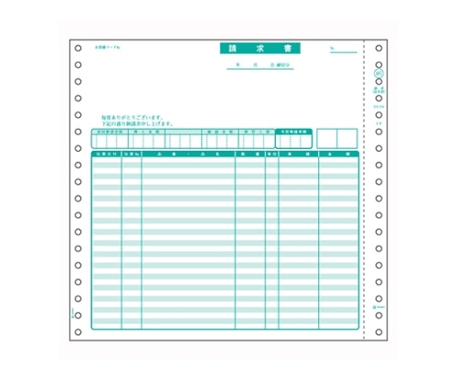 ヒサゴ コンピュータ用帳票 ドットプリンタ用 2枚複写 GB481 1箱(ご注文単位1箱)【直送品】