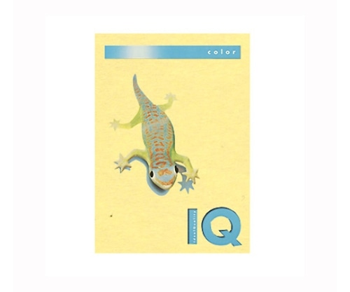 伊東屋 バイオトップカラー イエロー BT703 1パック(ご注文単位1パック)【直送品】