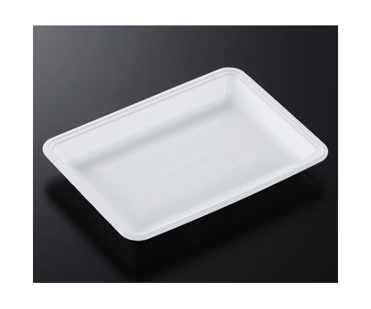 中央化学 トレーCN25-18FF(L)1000枚 178830 1ケース(ご注文単位1ケース)【直送品】