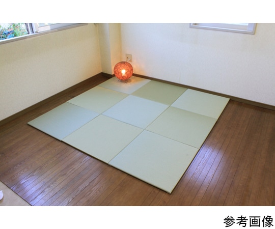 KLASS 洗えるへりなし置き畳 60×60cm アイボリー TC19114 1枚（ご注文単位1枚）【直送品】