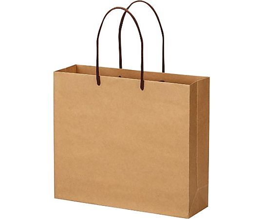 エヒメ紙工 クラフトバッグ 丸紐 M 10枚 CRBC-M10P 1パック（ご注文単位1パック）【直送品】