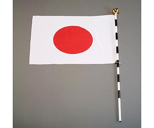 アズワン 700x 900mm 国旗セット(組立式) EA983JP-60 1箱（ご注文単位1箱）【直送品】