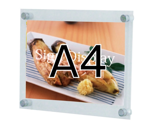 常磐精工 ウォールメイキャップアクリル A4 WKT-A4 1台（ご注文単位1台）【直送品】