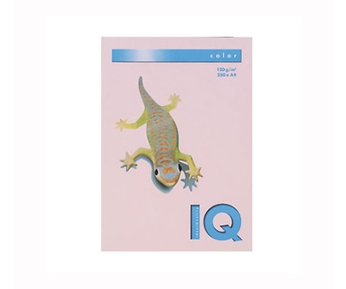 伊東屋 バイオトップカラー フラミンゴ BT731 1パック(ご注文単位1パック)【直送品】