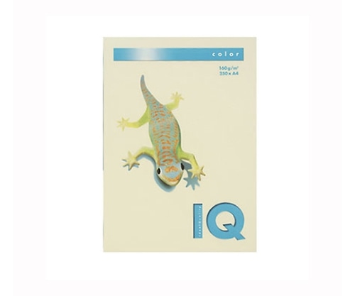 伊東屋 バイオトップカラー バニラ BT830 1パック(ご注文単位1パック)【直送品】