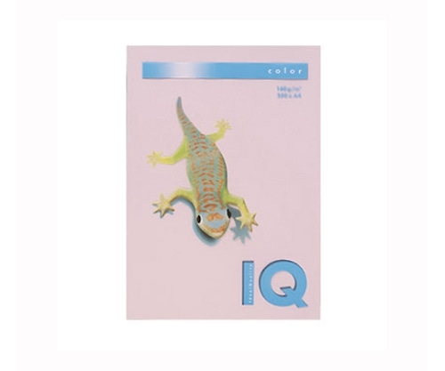 伊東屋 バイオトップカラー フラミンゴ BT831 1パック(ご注文単位1パック)【直送品】