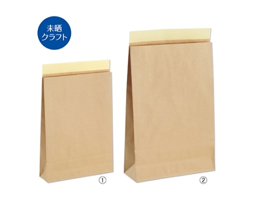 ストア・エキスプレス 宅配袋 未晒クラフト 小 入数50枚 61-320-6-1 1セット(ご注文単位1セット)【直送品】