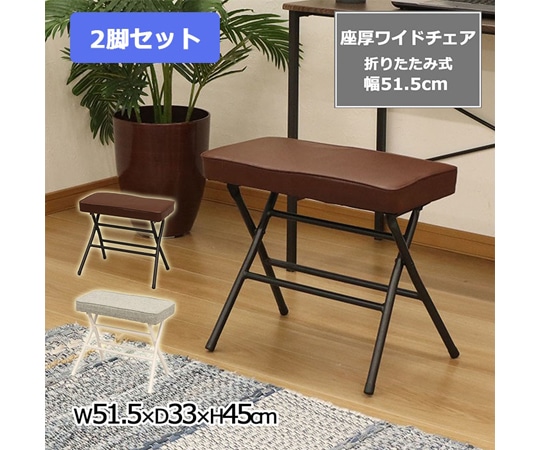 エイ・アイ・エス 座厚折畳ワイドチェア グレー 2脚セット AHWC-02X2PSC 1箱（ご注文単位1箱）【直送品】