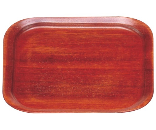 アズワン ヌーク角カスタートレー NK-604 1個（ご注文単位1個）【直送品】