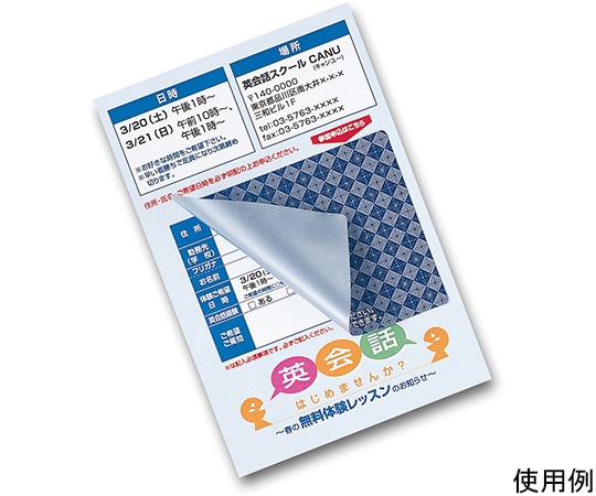 サンワサプライ 貼り直しができる目隠しシール 2面付 JP-HKSEC11 1セット(ご注文単位1セット)【直送品】