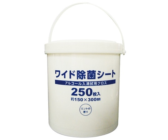 歯愛メディカル ワイド除菌シート 1個(250枚入)  1個(ご注文単位1個)【直送品】