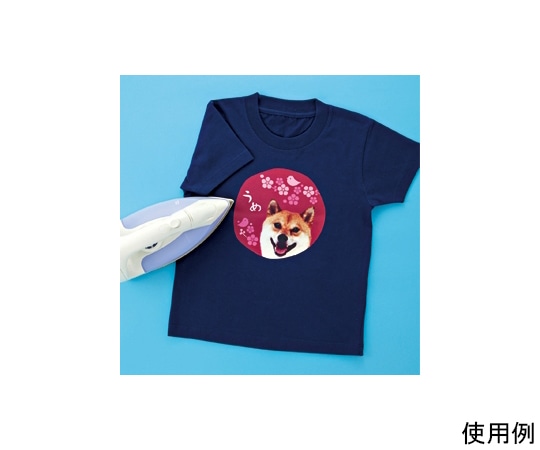 サンワサプライ インクジェットカラー布用アイロンプリント紙 JP-TPRCLN-10 1セット(ご注文単位1セット)【直送品】