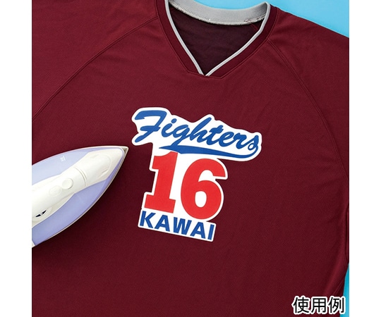 サンワサプライ インクジェット用化繊布用アイロンプリント紙 JP-TPRTEN 1セット(ご注文単位1セット)【直送品】