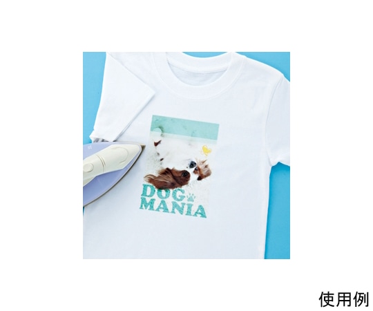 サンワサプライ インクジェット洗濯に強いアイロンプリント紙 白布用 JP-TPRTYN-10 1セット(ご注文単位1セット)【直送品】