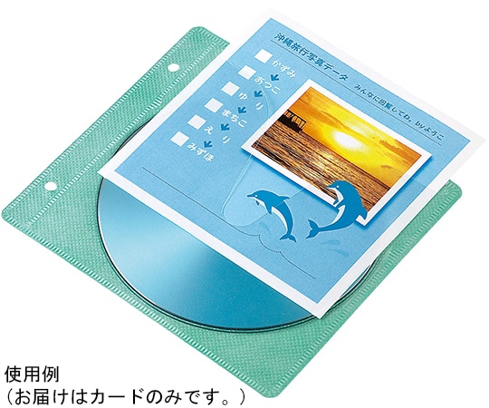 サンワサプライ 不織布ケース用インデックスカード JP-IND10 1セット(ご注文単位1セット)【直送品】