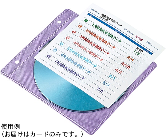 サンワサプライ 不織布ケース用インデックスカード 罫線入 JP-IND11 1セット(ご注文単位1セット)【直送品】