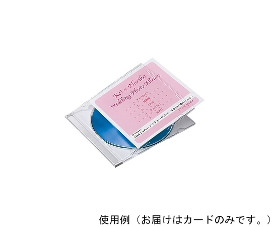 サンワサプライ プラケース用インデックスカード 薄手 JP-IND12-100 1セット(ご注文単位1セット)【直送品】
