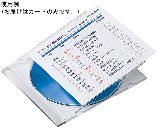 サンワサプライ プラケース用インデックスカード 薄手 罫線入 JP-IND13 1セット(ご注文単位1セット)【直送品】
