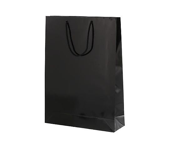 アズワン 330x100x450mm 紙袋(フィルム加工/黒/10枚) EA927SA-54 1束(ご注文単位1束)【直送品】
