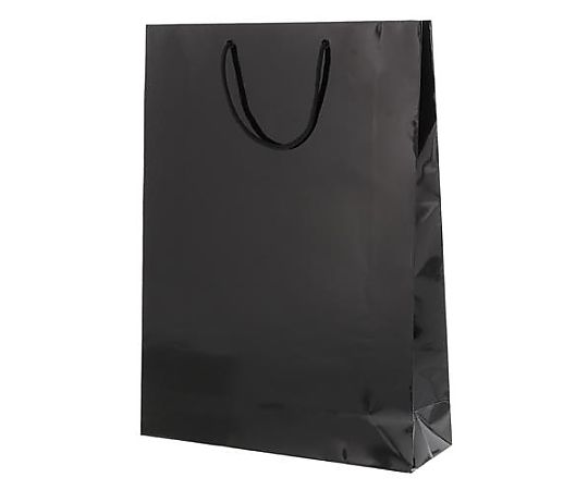 アズワン 380x120x520mm 紙袋(フィルム加工/黒/10枚) EA927SA-55 1束(ご注文単位1束)【直送品】