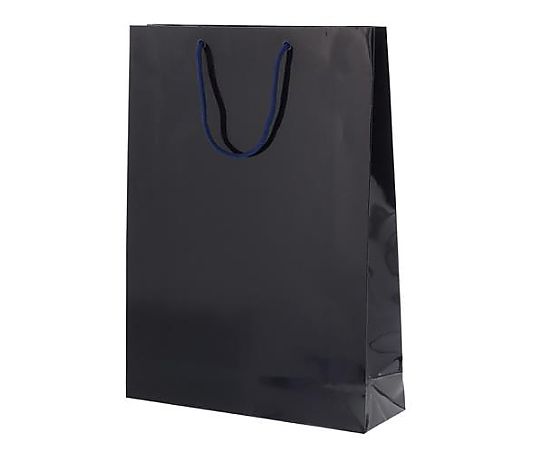 アズワン 330x100x450mm 紙袋(フィルム加工/紫紺/10枚) EA927SA-59 1束(ご注文単位1束)【直送品】