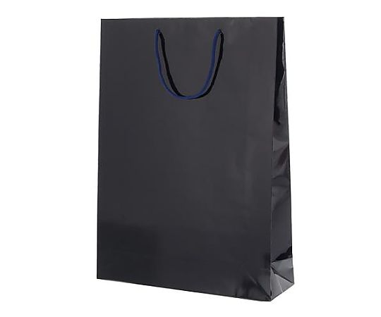 アズワン 380x120x520mm 紙袋(フィルム加工/紫紺/10枚) EA927SA-60 1束(ご注文単位1束)【直送品】