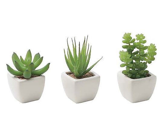 アートクリエイション 人工植物 多肉植物3種セット 642KU-009 1セット(ご注文単位1セット)【直送品】