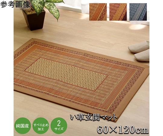 アズワン 純国産 い草玄関マット 『Fランクス』 ベージュ 約60×120cm(裏:ウレタン) 1080030024704 1個(ご注文単位1個)【直送品】