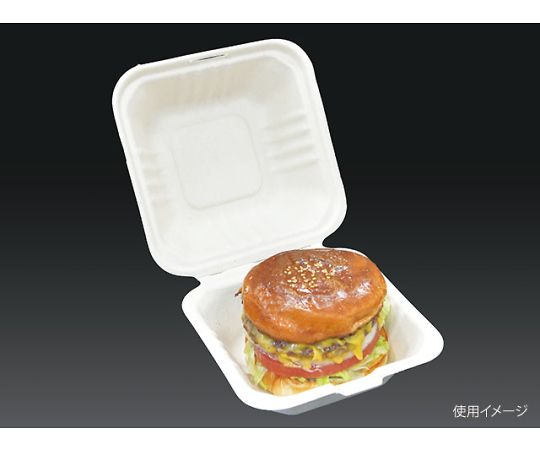 パックスタイル BB竹バガスランチ150-150 500枚入 649713 1ケース(ご注文単位1ケース)【直送品】