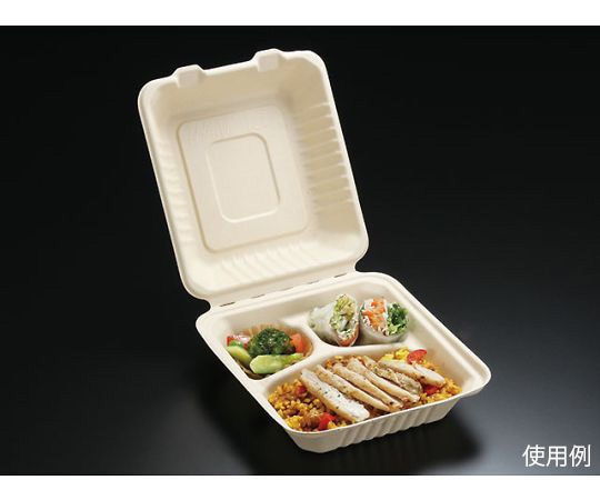 パックスタイル BB竹バガスランチトレー200-220-3 200枚入 605987 1ケース(ご注文単位1ケース)【直送品】