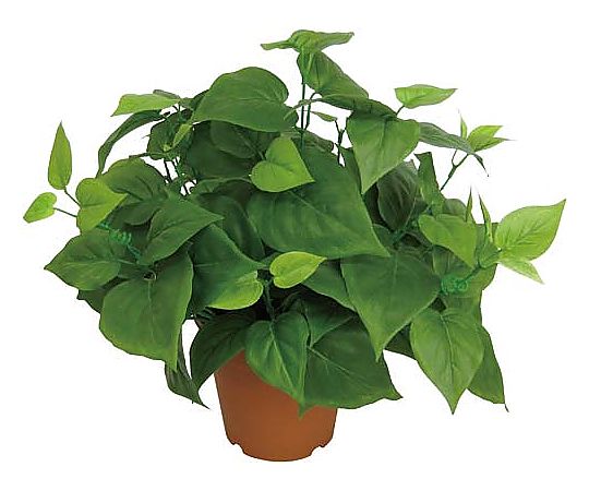 アートクリエイション 人工植物 ライムポトス 高さ360 642KU-008N 1個（ご注文単位1個）【直送品】