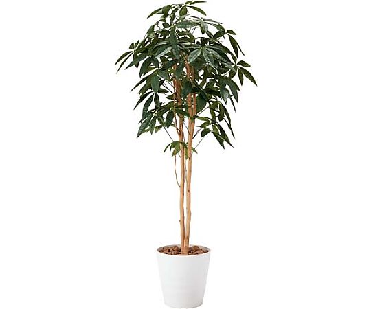 アートクリエイション 人工植物 パキラツリー 高さ1600 642KU-012N 1個（ご注文単位1個）【直送品】