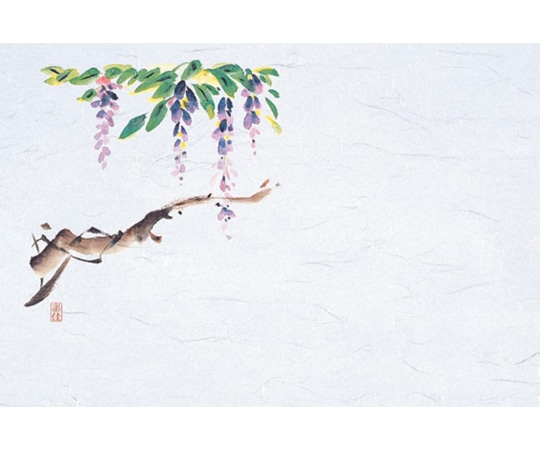 マイン 四季紙・千寿シリーズ尺3(100枚入)藤(4月~5月) M30-291 1個(ご注文単位1個)【直送品】