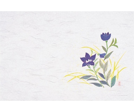 マイン 四季紙・千寿シリーズ尺3(100枚入)ききょう(8月~9月) M30-252 1個(ご注文単位1個)【直送品】