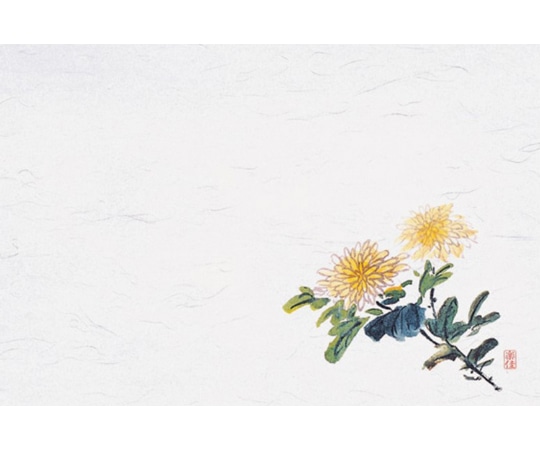 マイン 四季紙・千寿シリーズ尺3(100枚入)菊(9月~10月) M30-294 1個(ご注文単位1個)【直送品】