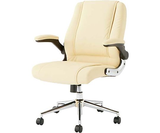 関家具 肘跳ね上げ式マネージメントチェア クリーム Z-184238 1脚(ご注文単位1脚)【直送品】
