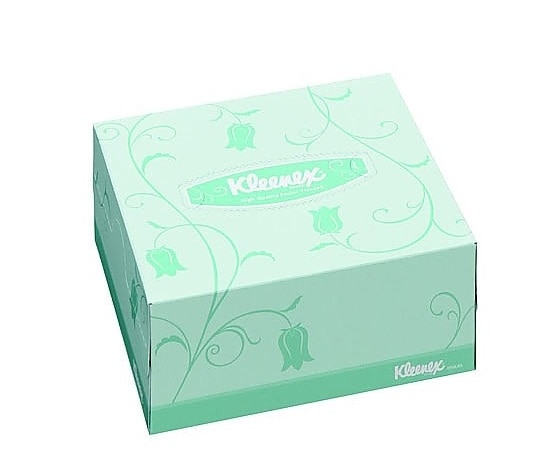 クレシア クリネックスティシュー ハーフ 2枚重ね 1/2カット 214×111mm 100組×96箱 43051 1箱(ご注文単位1箱)【直送品】