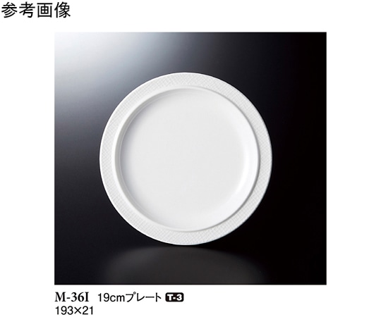 スリーライン 19cm プレート トカーニ 10個入 M-36I 1袋（ご注文単位1袋）【直送品】