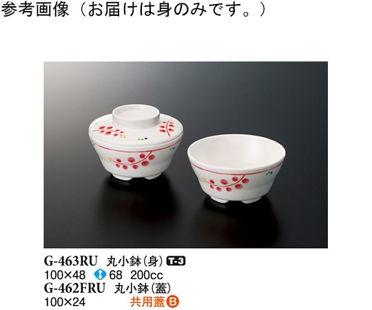 スリーライン 丸小鉢(身) ルビーズ 100×48mm 10個入 G-463RU 1袋（ご注文単位1袋）【直送品】