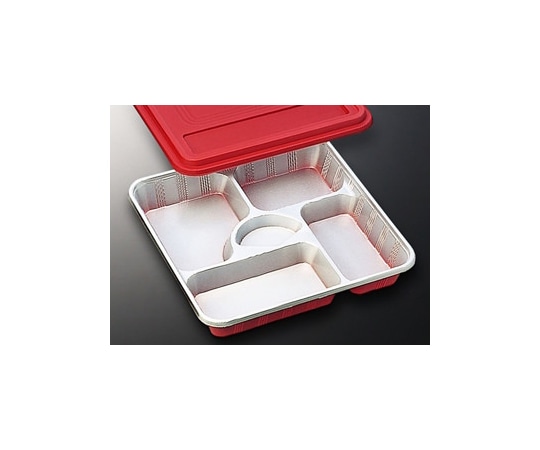 中央化学 仕出弁当 DX仕切 R-5-N 共蓋付 20枚入 22566 1袋(ご注文単位1袋)【直送品】