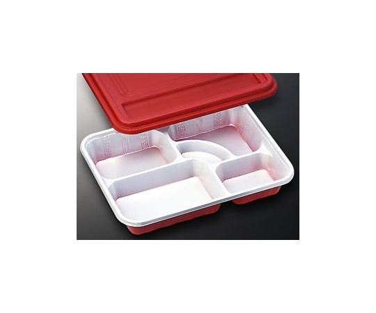 中央化学 仕出弁当 DX仕切 R-9-N 共蓋付 300枚 22681 1ケース(ご注文単位1ケース)【直送品】