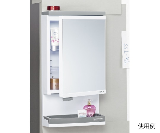 ケイマック キャビネット TW-T55T 1個（ご注文単位1個）【直送品】